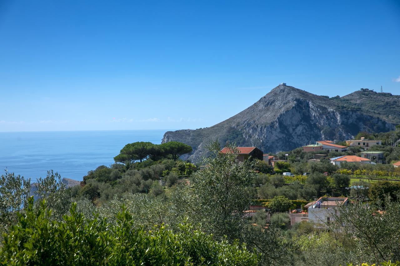 Villa Caprile Massa Lubrense Exterior foto